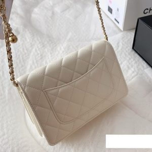 New Arrival CN Handbag C453