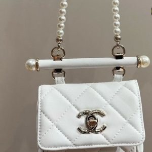 New Arrival CN Handbag C559