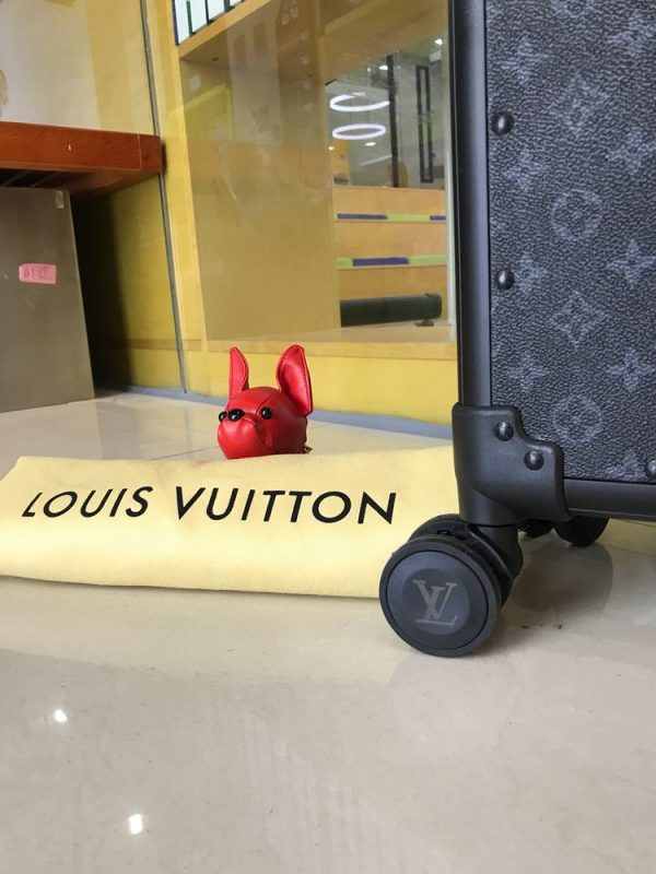 New Arrival LV Luggage 019