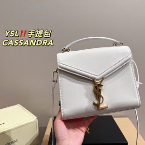 New Arrival YSL Handbag Y014