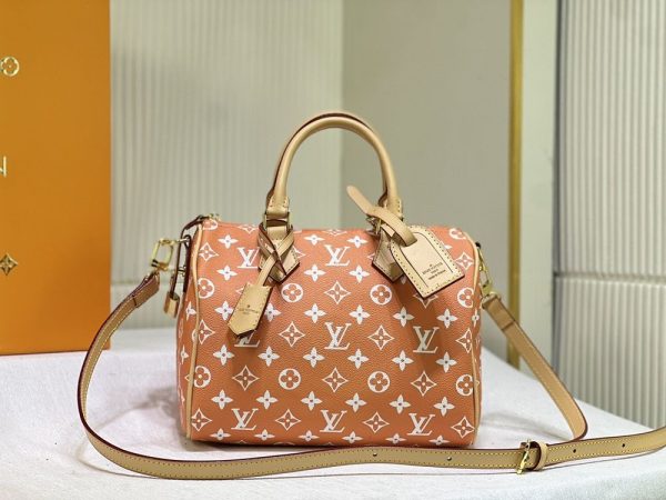 Luxury LV Handbag M24424.1